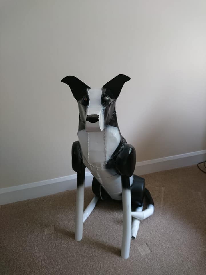 Collie