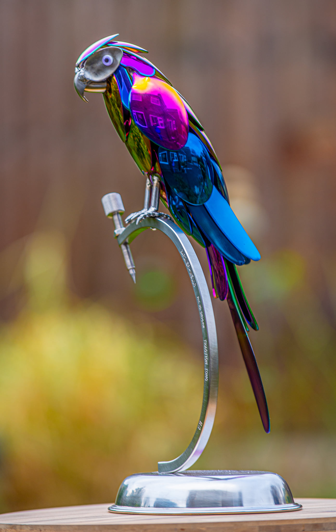 Parrot 4