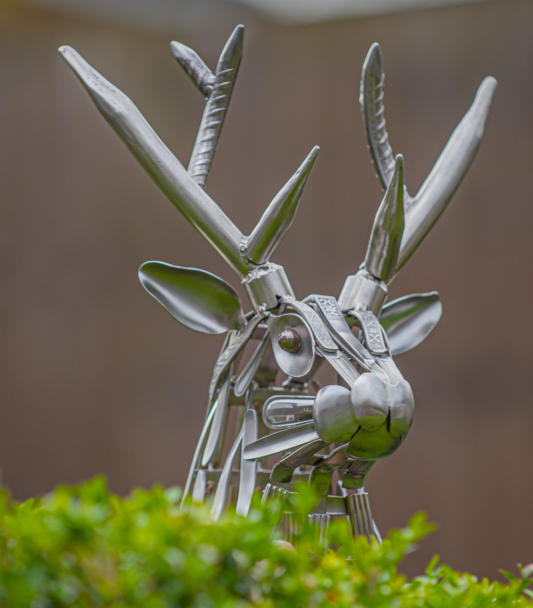 Stag 4