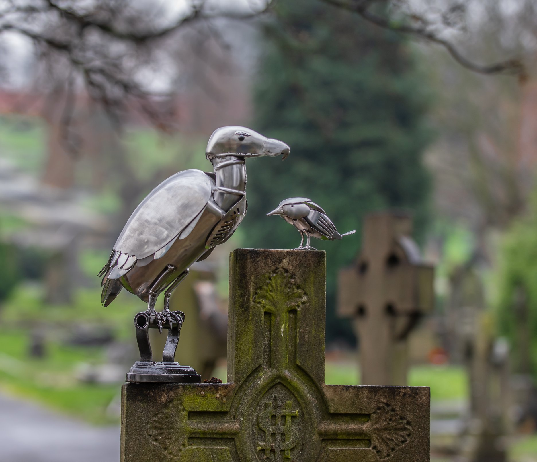 Vulture & small bird