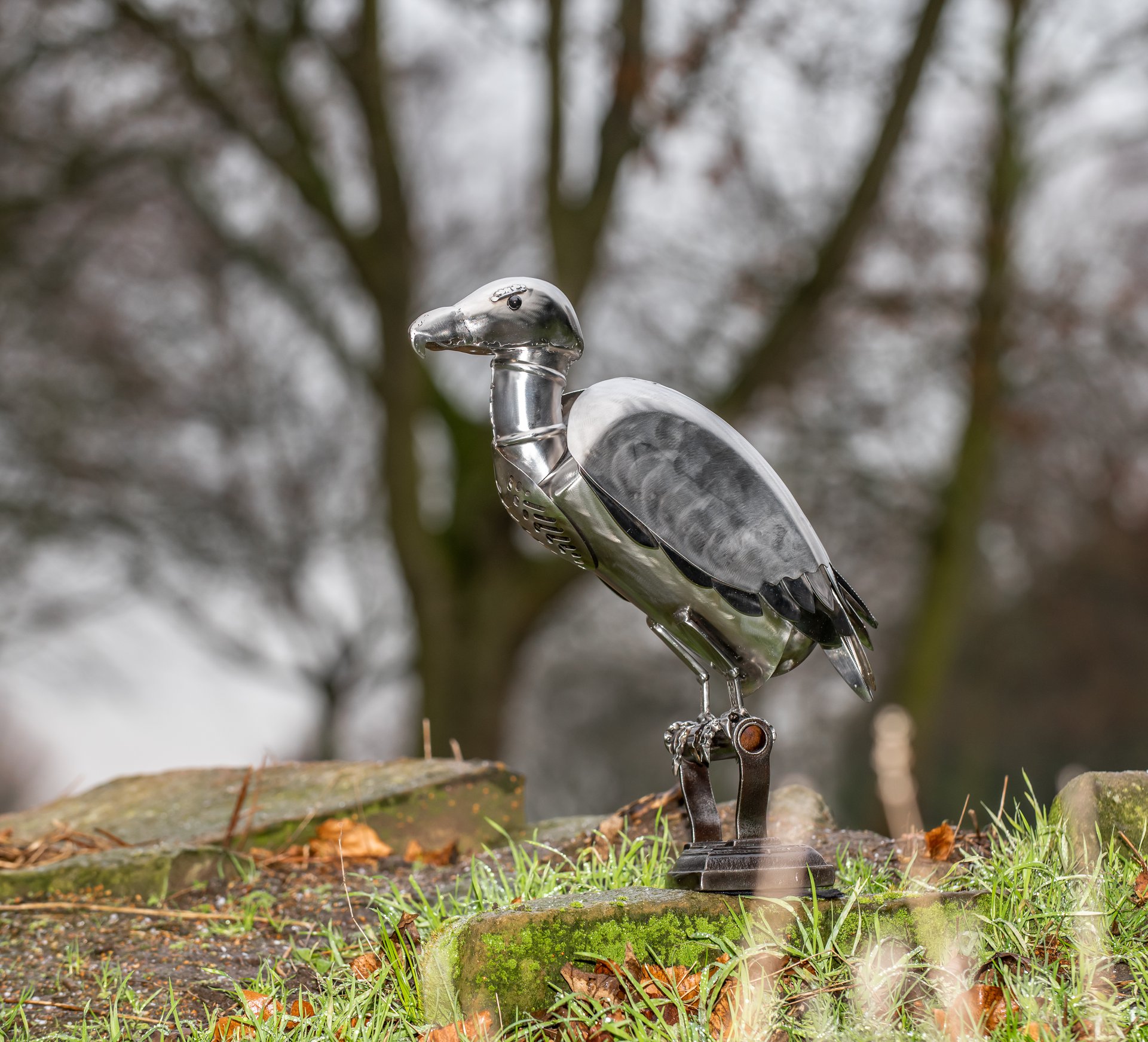 Vulture Park Colour 2
